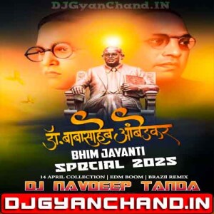 Jai Bhim Competition Jaikara Beat 14 April SpL - Dj Navdeep Tanda
